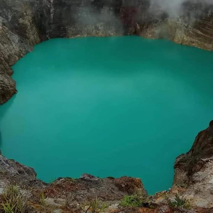 Wisma Kelimutu Енде Екстериор снимка